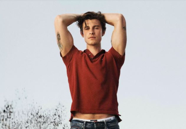 Shawn Mendez para Tommy Hilfiger